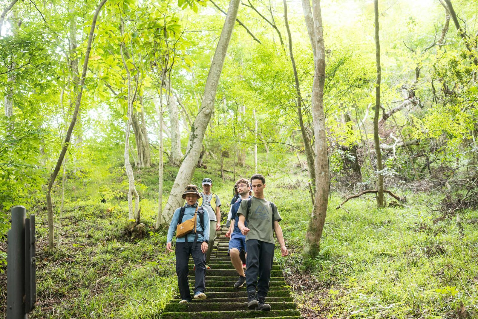 袋田の森の階段を下るハイカー