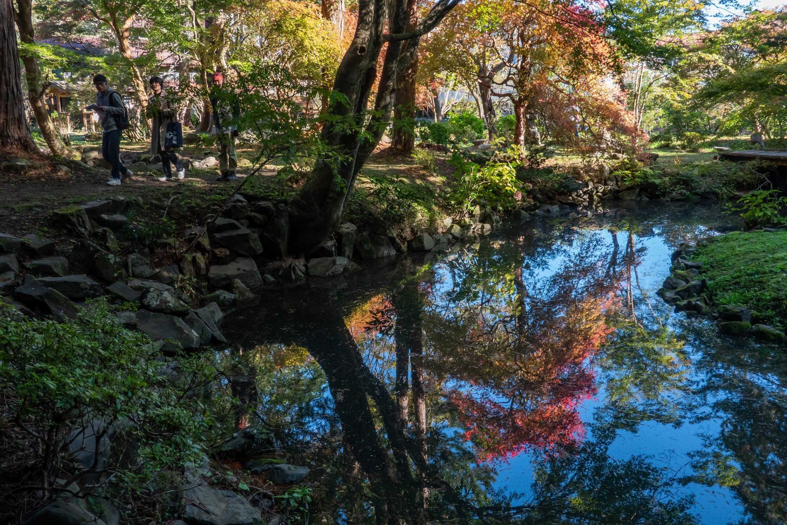 紅葉が水面に映る養浩園